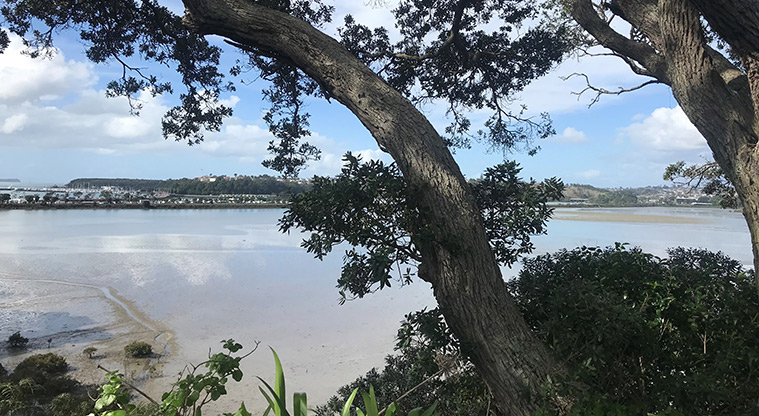 Awatea Reserve - View through trees and across Hobson Bay.