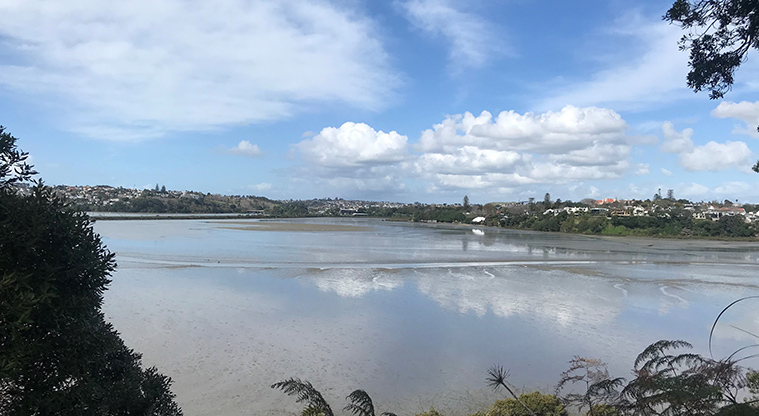 Awatea Reserve - View across Hobson Bay.