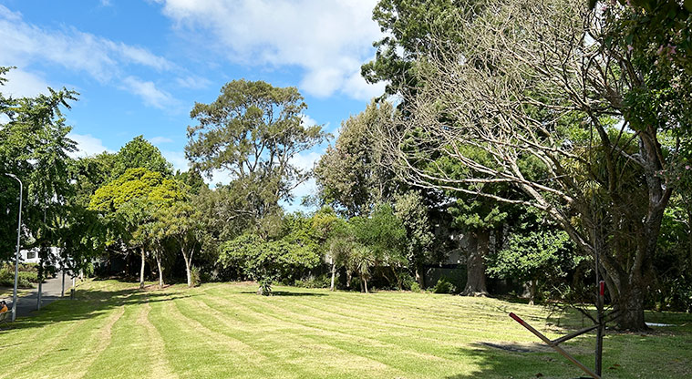 Ballantyne Square - A section of the reserve showing the open grassed space and established trees. Photo credit: S Hulse.