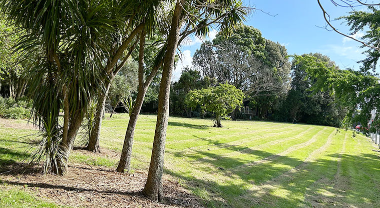 Ballantyne Square - A section of the reserve showing the open grassed space and established trees. Photo credit: S Hulse.