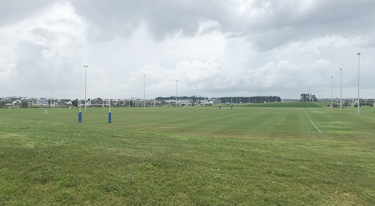 Barry Curtis Park - Sports fields with goal posts and flood lighting.
