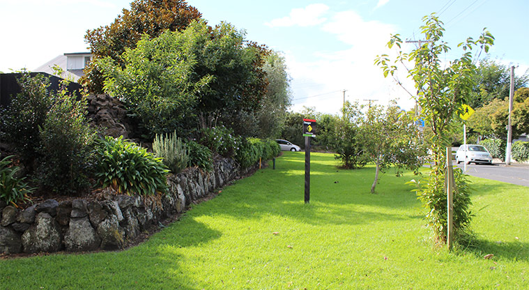 Bellevue Reserve - Open grassed area with young trees and stone walls.