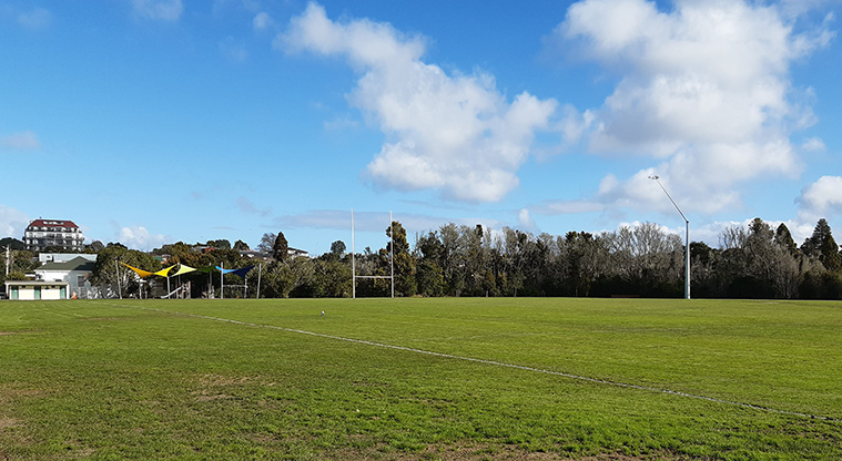Birkenhead War Memorial Park - Sports fields and flood lighting. Photo credit: S Hulse.