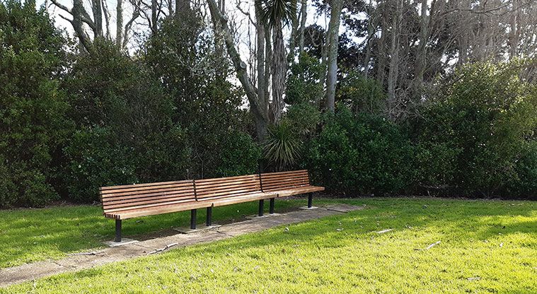 Birkenhead War Memorial Park - Seating along the side of the sports fields. Photo credit: S Hulse.