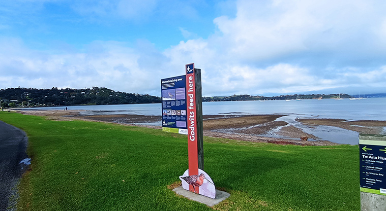 Blackpool Beach - Large sign on the grass above the beach that says 'Godwits feed here' and information about godwit (kuaka). Photo credit: K Sumner.