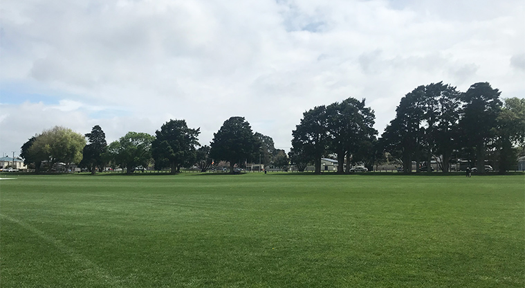 Bledisloe Park - Sports fields and trees in the background.