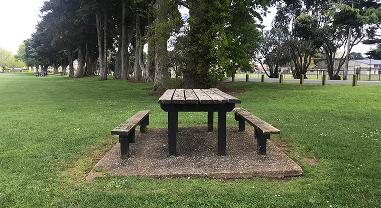Bledisloe Park - Picnic table and seating.