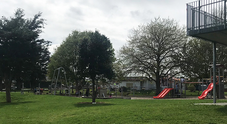 Bledisloe Park - Children's playground.