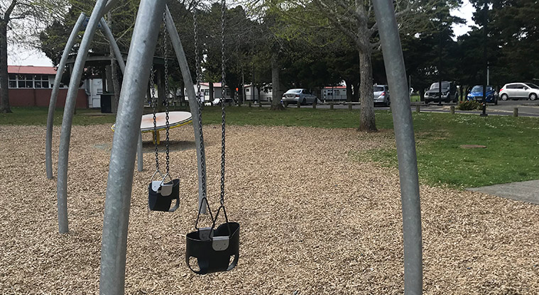 Bledisloe Park – Baby swings.