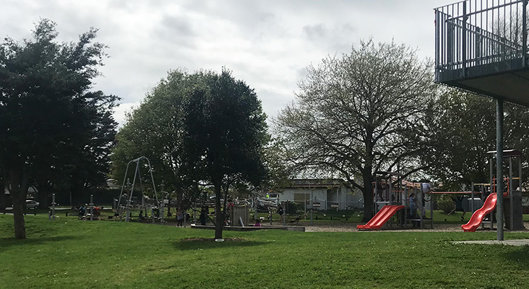 Bledisloe Park – Slides and other equipment.