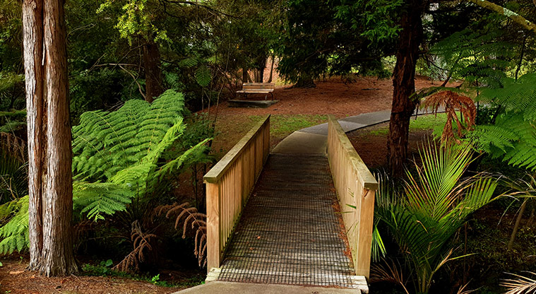 Blockhouse Bay Recreation Reserve - Bridge and path through the park.
