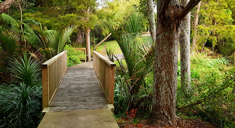 Blockhouse Bay Recreation Reserve - Bridge and path through a section of the park.