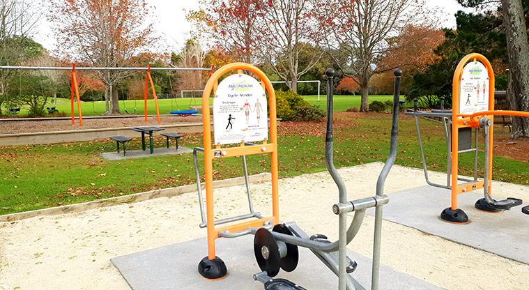 Blockhouse Bay Recreation Reserve - Fitness equipment with swings in the background.