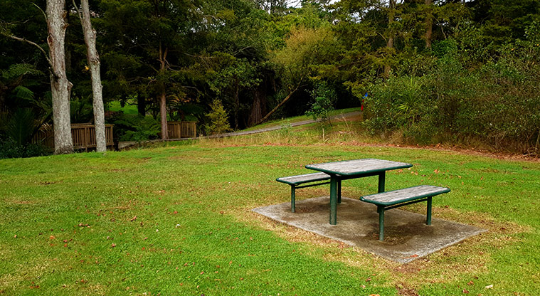 Blockhouse Bay Recreation Reserve - Picnic table in the open space.
