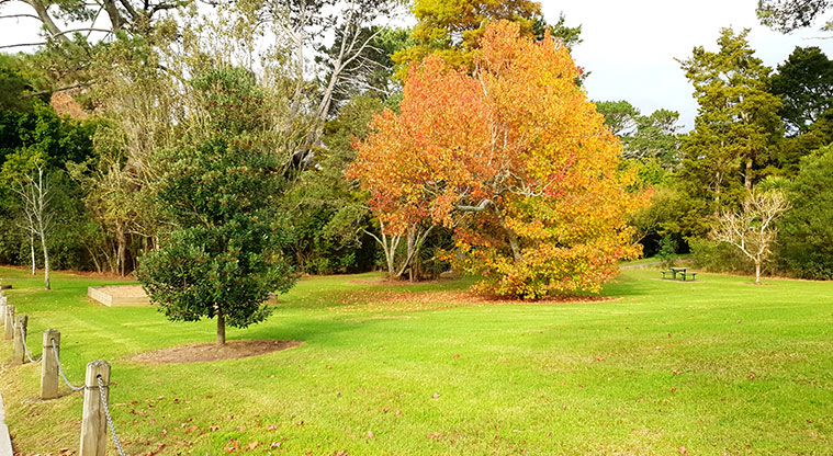 Blockhouse Bay Recreation Reserve - Trees and open space.