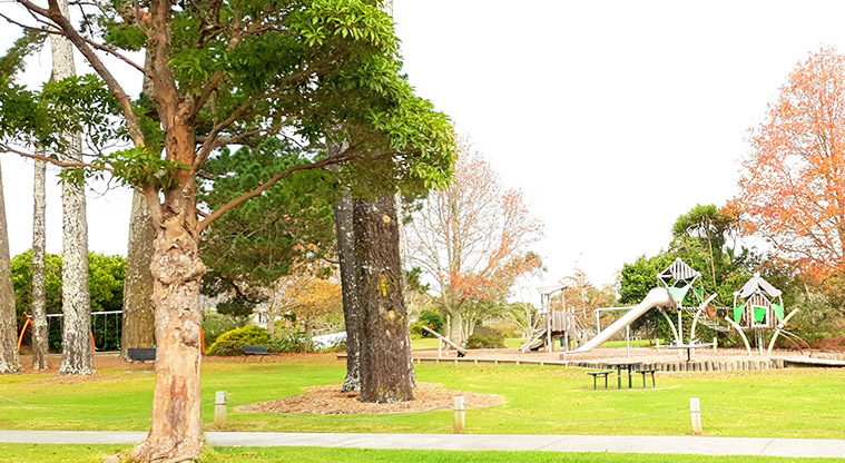 Blockhouse Bay Recreation Reserve - Playground with slides and climbing equipment.
