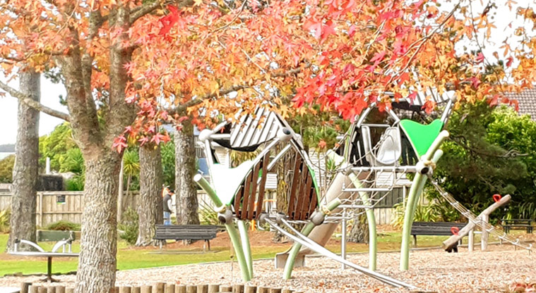 Blockhouse Bay Recreation Reserve - Playground with climbing equipment.