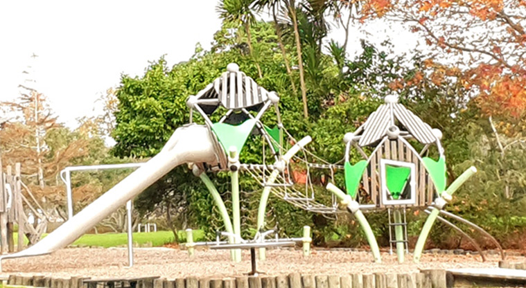 Blockhouse Bay Recreation Reserve - Playground with slides and climbing equipment.