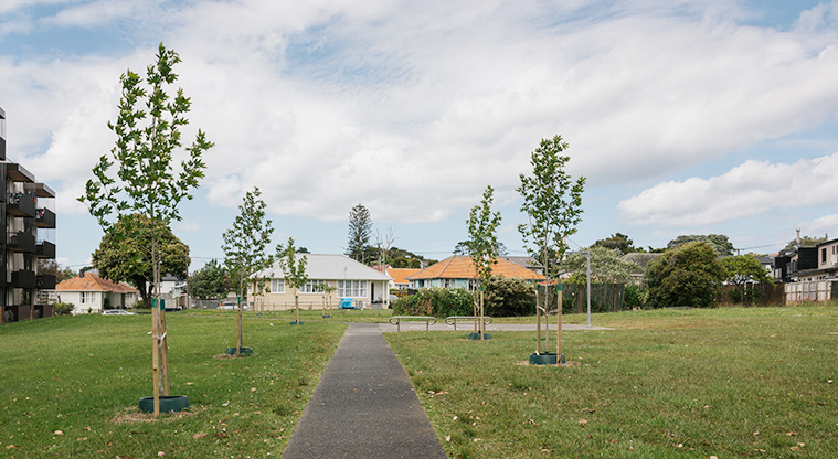 Bob Hill Reserve - Section of the path lined with young trees leading to the basketball half-court. Photo credit: J Farnworth.