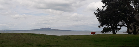 Browns Bay Beach Reserve