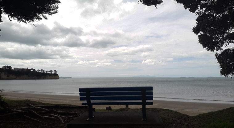 Browns Bay Beach Reserve - Bench seat overlooking the beach. Photo credit: T Hodder.