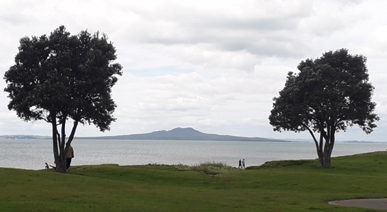 Browns Bay Beach Reserve - Looking out over the beach to Rangitoto Island. Photo credit: T Hodder.
