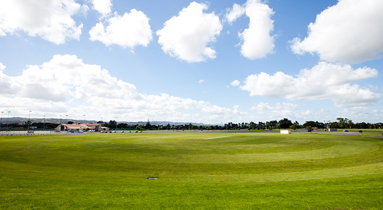 Bruce Pulman Park - Some of the sports fields with the Papakura Netball Centre in the background.