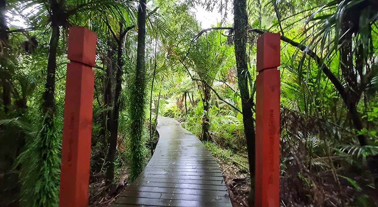 Te Piringa / Cascade Kauri, Waitākere Ranges Regional Park - Waharoa (entrance) pou marking the entrance to the ngahere (bush). Photo credit: G Browne.