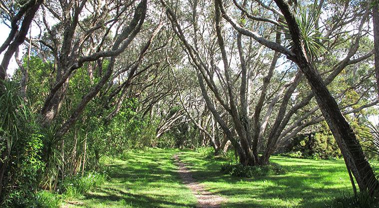 Centennial Park - Section of the path through the “Avenue of Remembrance".