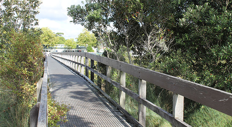 Centreway Reserve - Bridge that connects with Orewa College. Photo credit: M Loubser.