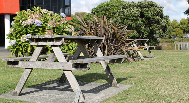 Centreway Reserve - Picnic tables and seating. Photo credit: M Loubser.