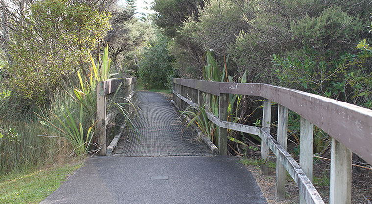 Centreway Reserve - One of the small bridges along the walkway. Photo credit: M Loubser.