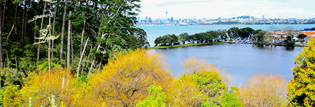 Chelsea Estate Heritage Park