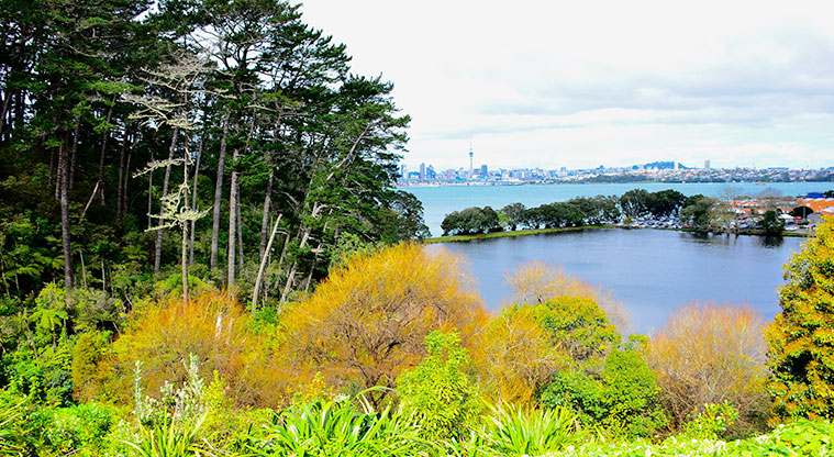 Chelsea Estate Heritage Park - View from the park across to Auckland city. Photo credit: Aleksandar Ćirilović.