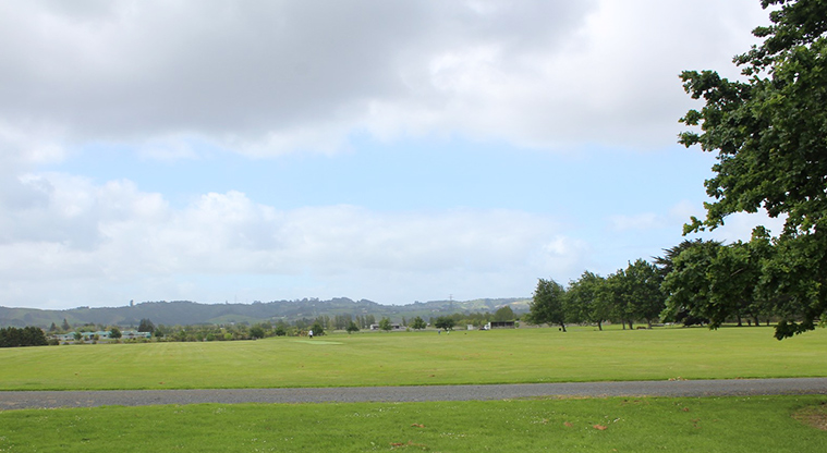 Clevedon Showgrounds Reserve - Sports fields surrounded by trees.