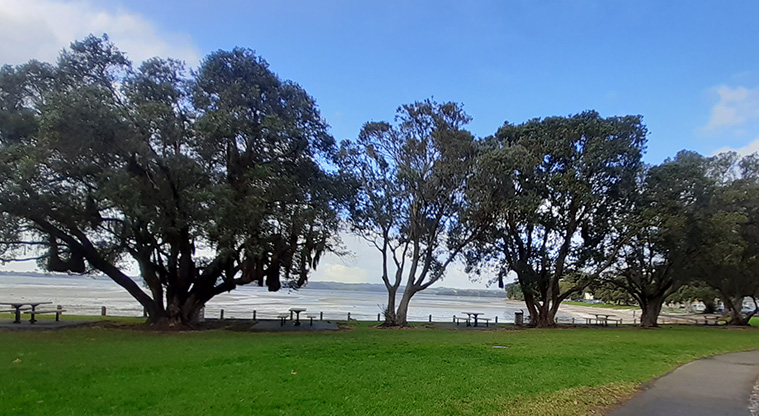 Cockle Bay Reserve - Open grassed space with trees and views over the bay in the background.