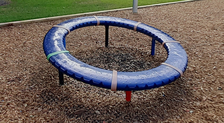 Cockle Bay Reserve - Blue spinner.