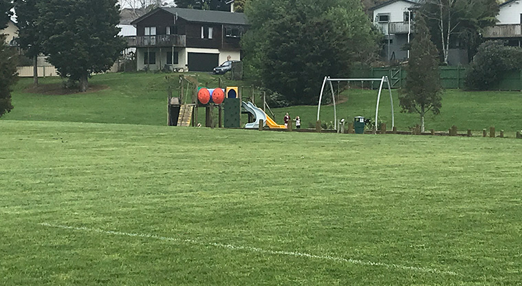 Colin Lawrie Fields - Sports field with the playground in the background.