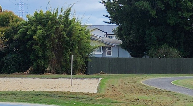 Toetoe-roa / Cooper Park - Part of the volleyball court with a section of path on the right-hand side.