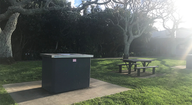 Cox's Bay Reserve - Barbecue and picnic table under the trees.