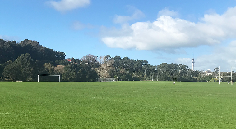 Cox's Bay Reserve - Sports fields.