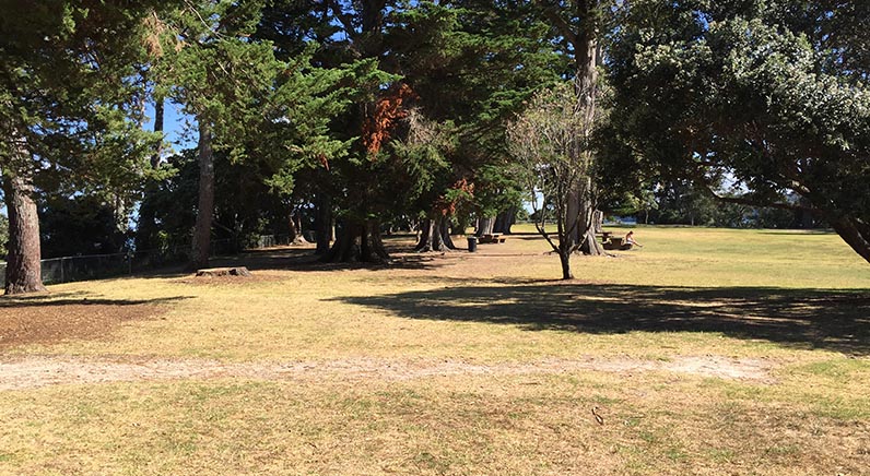 Coyle Park – lots of established tress and open space.