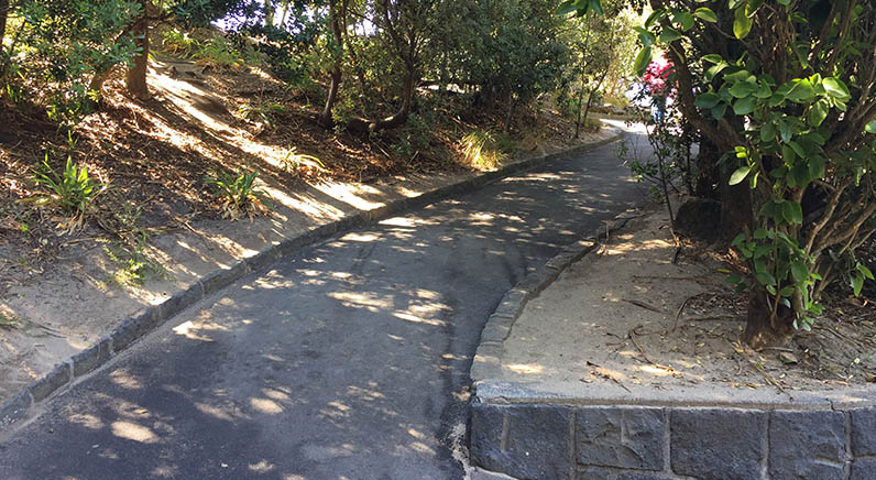 Coyle Park – a section of the path leading through the trees down to the beach.
