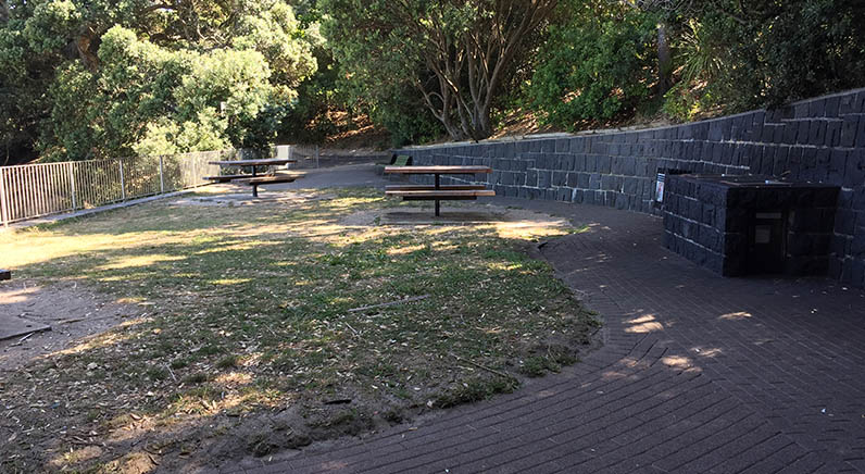 Coyle Park – barbecue area and picnic tables part way down the path to Pt Chevalier Beach.