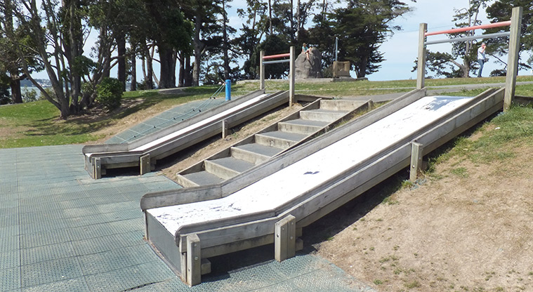 Coyle Park - Double slides going down the slope. Photo credit: J Grigg.