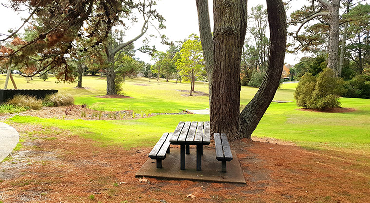 Craigavon Park - Picnic table under a tree.