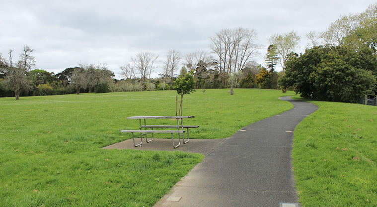 Cranwell Park - Open grassed area with a picnic table and path going up the right hand side, and trees in the background.