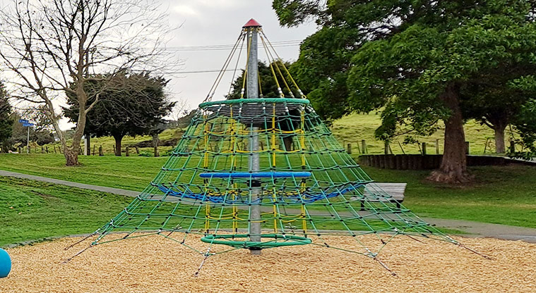 Crossfield Reserve - Net climbing frame with open space, a path and trees in the background.
