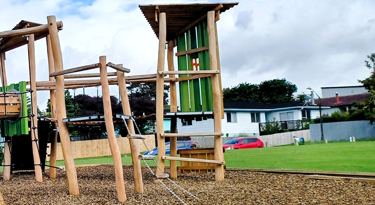 Dalmatia Green - Section of the play module showing the ladders and platforms.