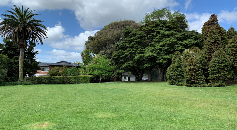 David Nathan Park - Flat grassed area with large trees and houses in the background.